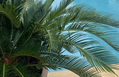 Brighton House | Beachfront Oasis- Sunshine Guesthouse with Pool