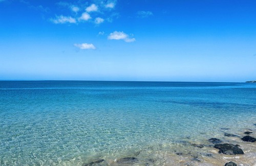 Stella Condo | Beachfront unit with sweeping views of the sea and pool! Family/pet friendly!