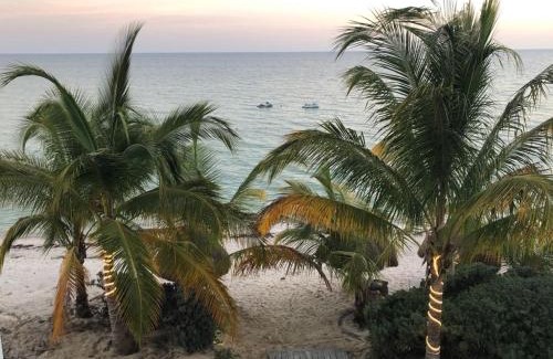 San Benito Villa | Beachfront Villa Solarium Garden House 1