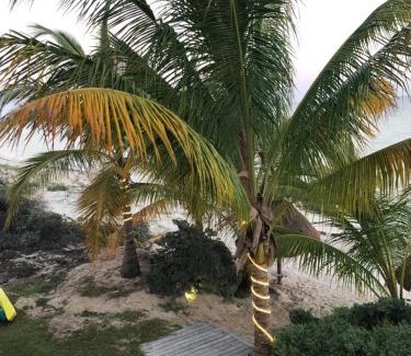 San Benito Villa | Beachfront Villa Solarium Garden House 1