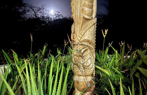 Playa Colorado House | BEACHSIDE dream CASA KON TIKI 4bd/5ba /Hacienda Iguana