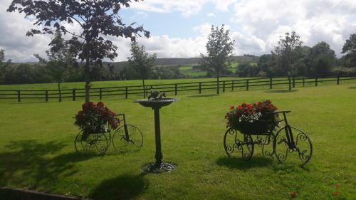 Ogonnelloe Bed & Breakfast | Bealkelly Country House