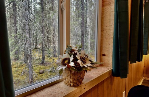 Tok Cabin | Bear Cabin 2 in Tok Alaska