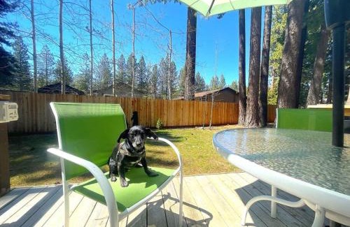 Pioneer Trail House | Bear Claw Trails - Dogs - Awesome Yard - Fire Pit