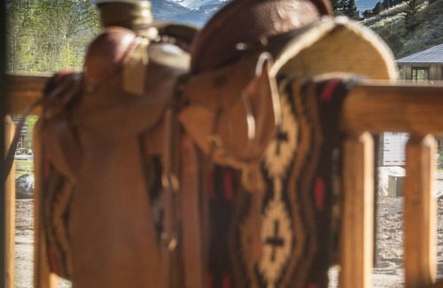 Jardine Cabin | Bear Creek Cabin 1 - 2 bed 2 bath, sleeps 6