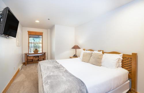 Mountain Village Apartment | Bear Creek Lodge 110A by Alpine Lodging Telluride