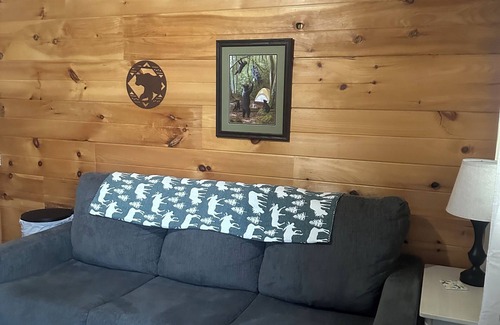 Stevenson Cabin | Bear Cub ,Cozy cabin with WiFi and AC in peaceful Stevenson