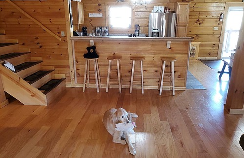 Byrdstown Cabin | Bear Footin' - Cheerful 8 BR /4 Bath w/hot tub!