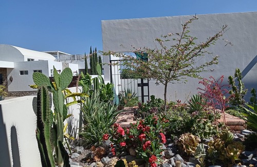Chapala Villa | Bear House