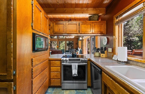 McCall House | Bear Lodge - Hot Tub - Forested Setting - Pet Friendly