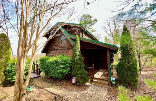 Ferguson Cabin | Bear Necessities - Hot tub, View, Spectacular!