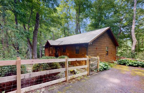 Hiawassee House | Bear Necessity Cabin