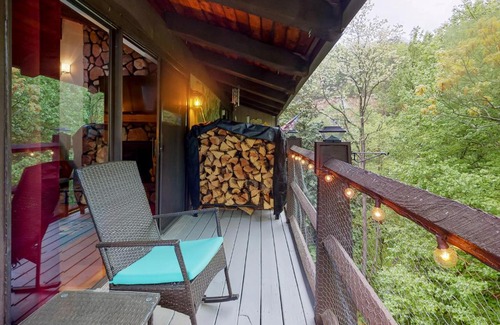 Sevierville Hotel | Bear Necessity Condo