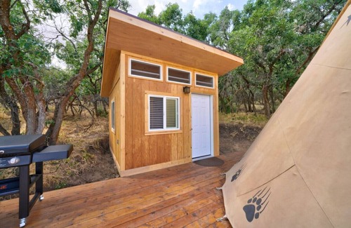 Mount Pleasant RV Rental | Bear Paw Den · Glamping Teepee w/King Bed sleeps 4 w/private pond