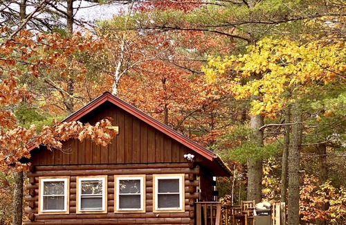 Penobscot County Cabin | Bear's Den 1 Bed/1 Bath Charming Rustic Log Cabin