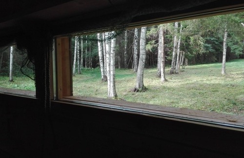 Vinni Parish Cabin | Bear Watching and Photography Hide