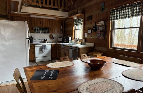 Alpine Lake Cabin | Bearadise 3BR w/Loft Cabin w/Game Room, Fire Pit & Resort Amenities