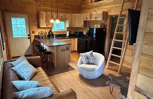 Rhinelander Cabin | Bearadise Cabin on Moen Lake