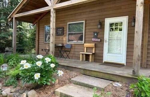 Rhinelander Cabin | Bearadise Cabin on Moen Lake