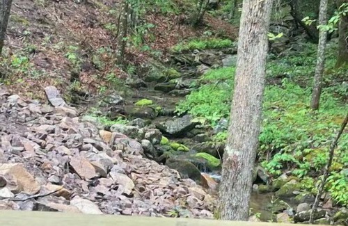 Vesuvius RV Rental | BEARADISE “Glamping Paradise”