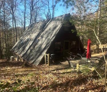 Blue Ridge Ski Chalet | Bearly Behavin