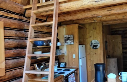 Condon Cabin | "Bears Den" rustic cabin hidden in the pines.