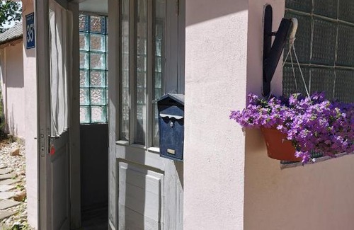 Ventspils House | Bears Staldzene