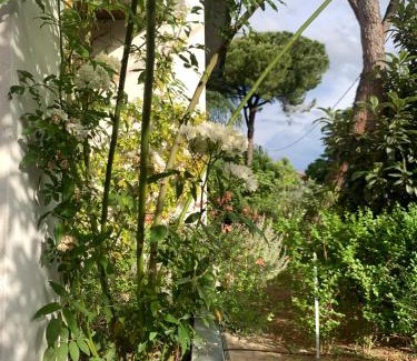 Santarcangelo di Romagna Apartment | Beau Rivage - Room Studio in villa