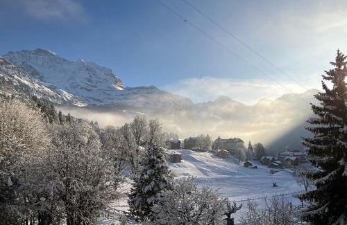 Wengen Hotel | Beausite Park Hotel & Spa