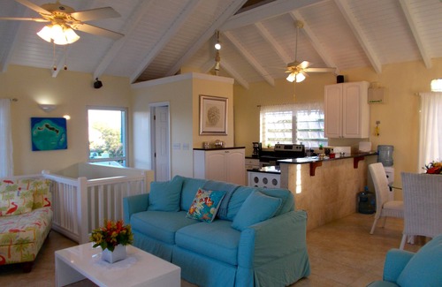 Discovery Bay House | Beautiful Waterfront Villa Dockside Patio Kayaks optional Jeep Suv Boat Seadoo
