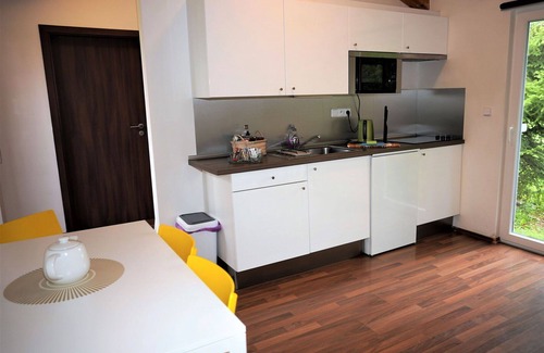 Dolni Branna House | Beautiful private villa for 4 people with WIFI, hot tub, TV, terrace and pets allowed