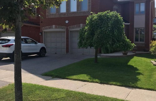 Lisgar Apartment | beautiful 1 bedroom lower level apartment