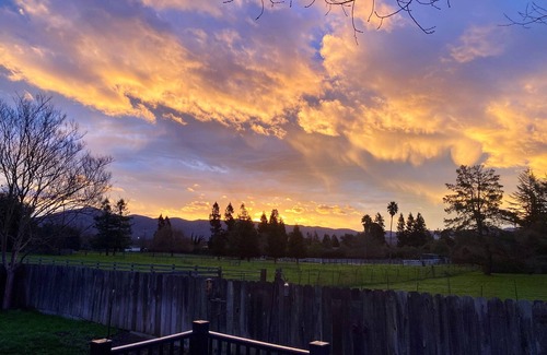 Napa Apartment | Beautiful 1 Bedroom, loft style apartment with private deck on vineyard in Napa.