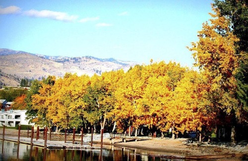 Manson Apartment | Beautiful 1 bedroom unit at resort, sleeps 4