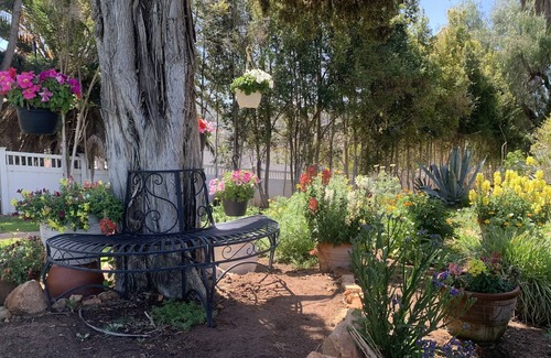 Winter Gardens House | Beautiful 1895 Mansion + Enchanting 2 Acre Garden.