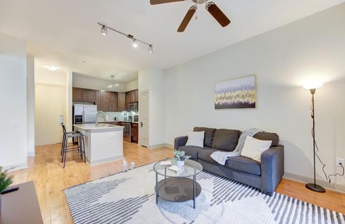 Texas Medical Center Apartment | Beautiful 1Br/NRG/Pool/Wi-Fi/PetsOK/Garage parking