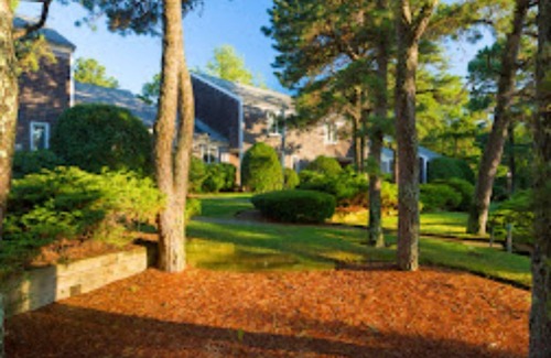 Mashpee Condo | Beautiful 2 bedroom/2 bathroom condo in a pine woods setting.