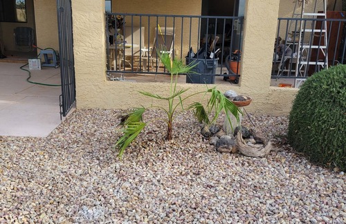 Eleven Mile Corner Condo | Beautiful 2-bedroom 2bath Remodeled Condo 1st fairway in Casa Grande 30-day min