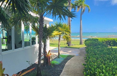 Mediania Alta Condo | Beautiful 2 bedrooms condo steps away from the beach