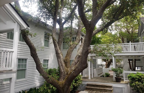 Morehead City Condo | Beautiful 2 BR condo/cottage just one block from downtown waterfront!