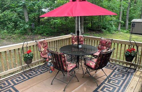 Mineral House | Beautiful 2bd, 2 ba Oasis -WiFi, AC, lake access with private boat slip & launch
