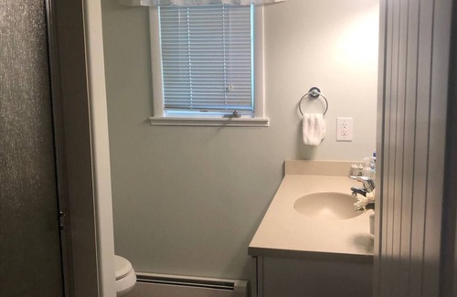 Indian River Cottage | Beautiful 3 plus bedroom cottage on Burt Lake