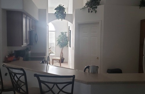 Orange Tree House | Beautiful 4/3 Pool Home FREE Spa Heat