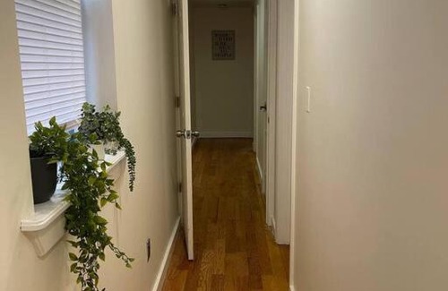 Bushwick Apartment | Beautiful 4-bedroom rental unit in Bushwick