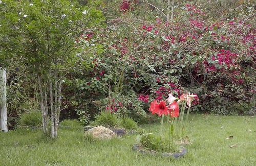 Domingos Martins House | Beautiful and comfortable house in place, with preserved nature, swimming pool and fishing lake