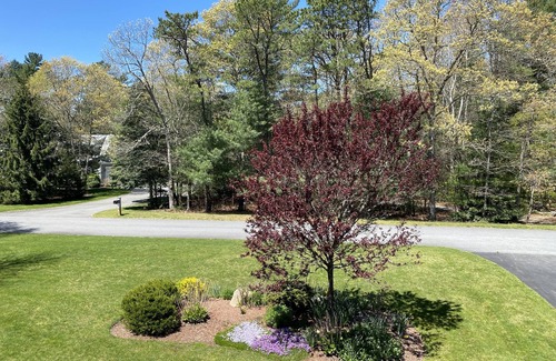 Osterville House | BEAUTIFUL and PRIVATE OSTERVILLE HOME, LARGE GAME ROOM, AC,PARKING
