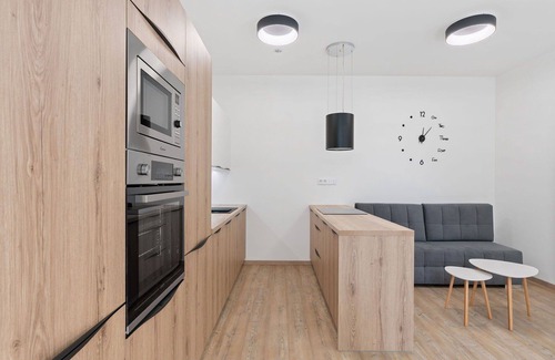 Janov nad Nisou Apartment | Beautiful apartment for 3 people with WIFI, TV, terrace and parking