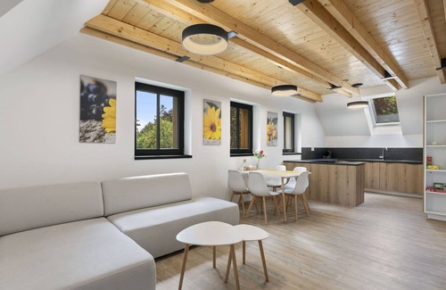 Janov nad Nisou Apartment | Beautiful apartment for 6 people with WIFI, TV, terrace and parking