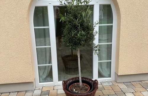 Lichtenberg Apartment | Beautiful apartment in a central location close to Salzgittersee