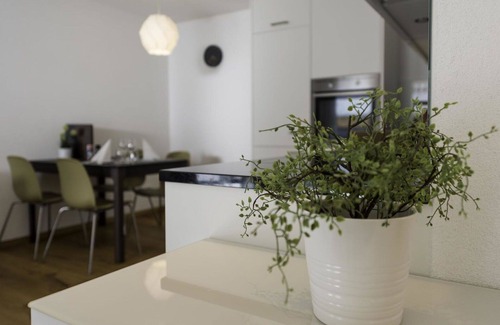 Saas-Balen Apartment | Beautiful apartment for 3 people with WIFI, TV, balcony and pets allowed